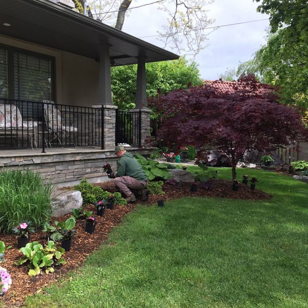 planing-flower-bed